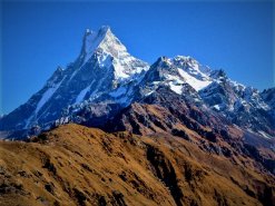 mardi himal trek