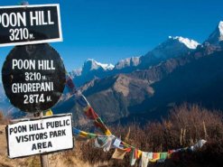 ghorepani poon hill