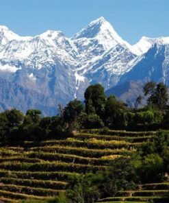 ganesh himal trek in nepal