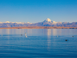 kailash mountain and mansarovar lake tour by soulful nepal holidays