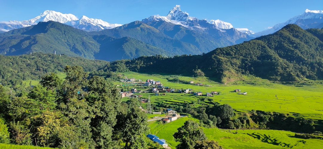 Green valley in the Nepal Himalaya
