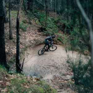 A mountain biker on a forest singletrack trail