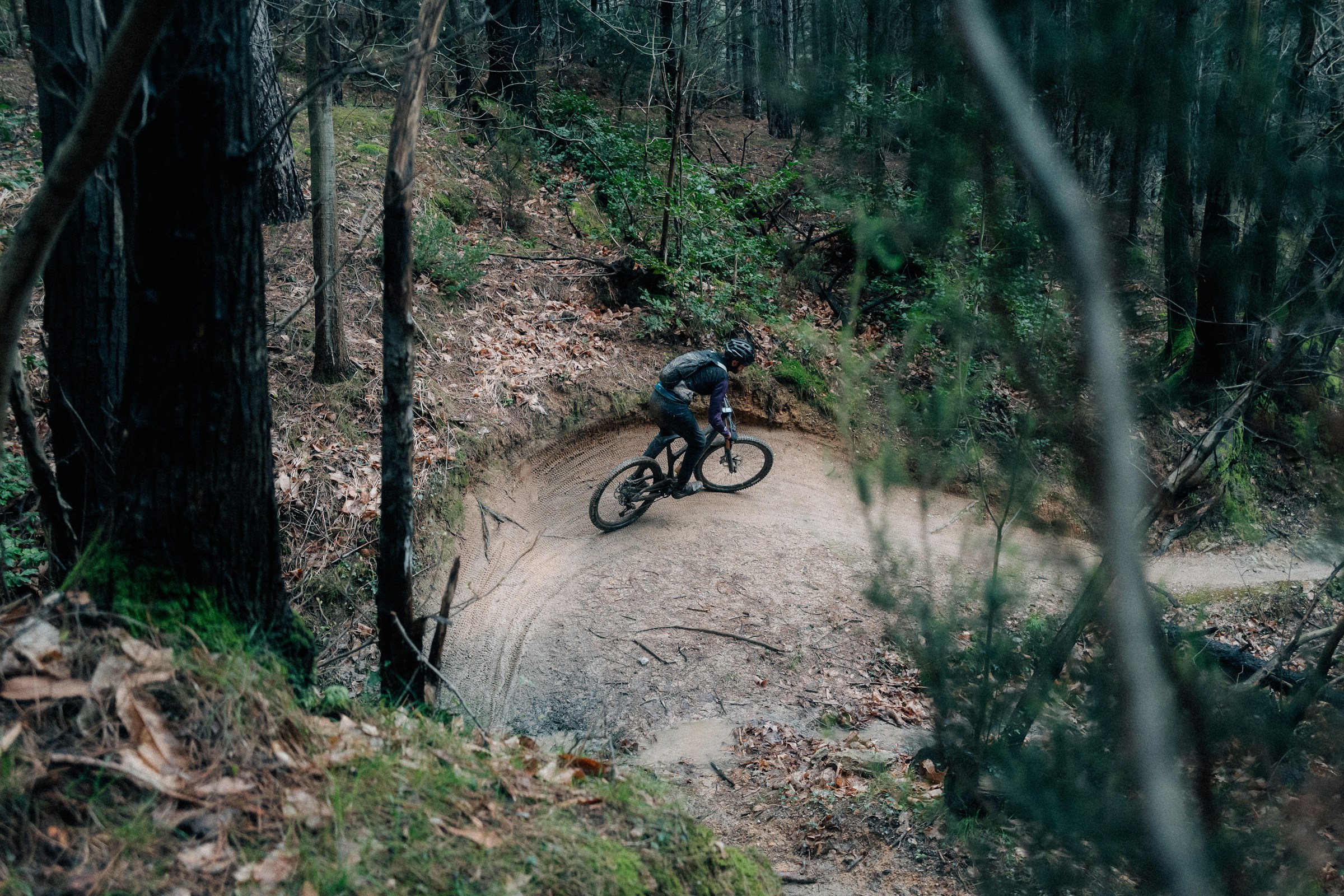 A mountain biker on a forest singletrack trail